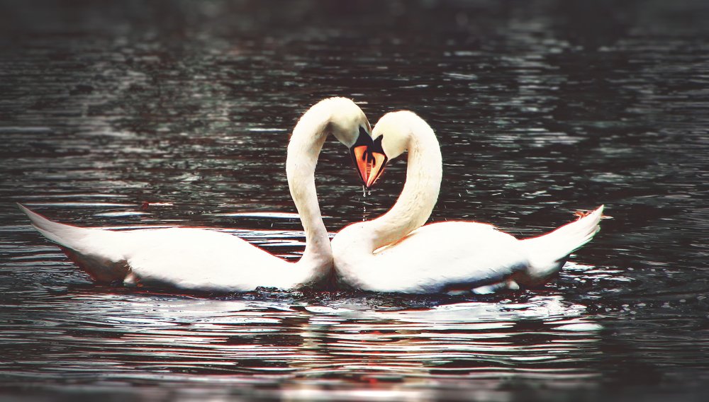 Photograph by Anton Makovsky