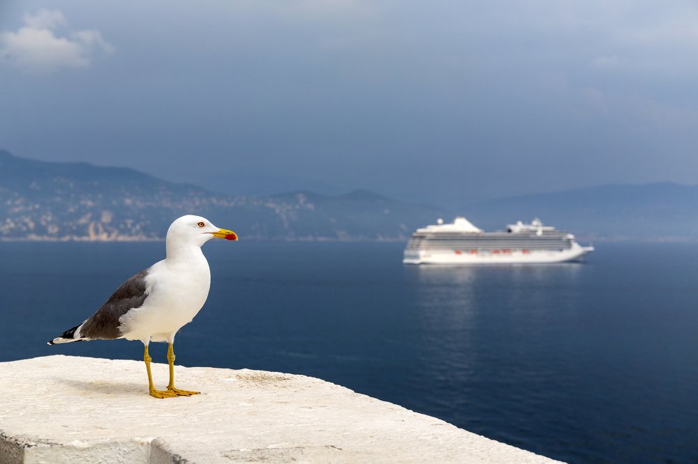 Photograph by Аскар Баймухамедов