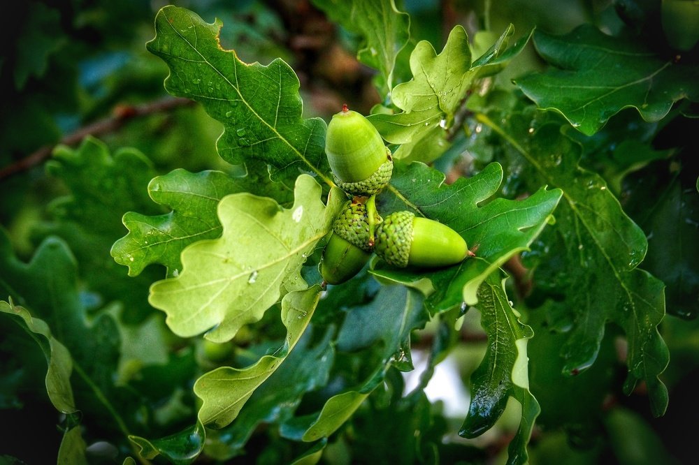 Photograph by Илья Шамин