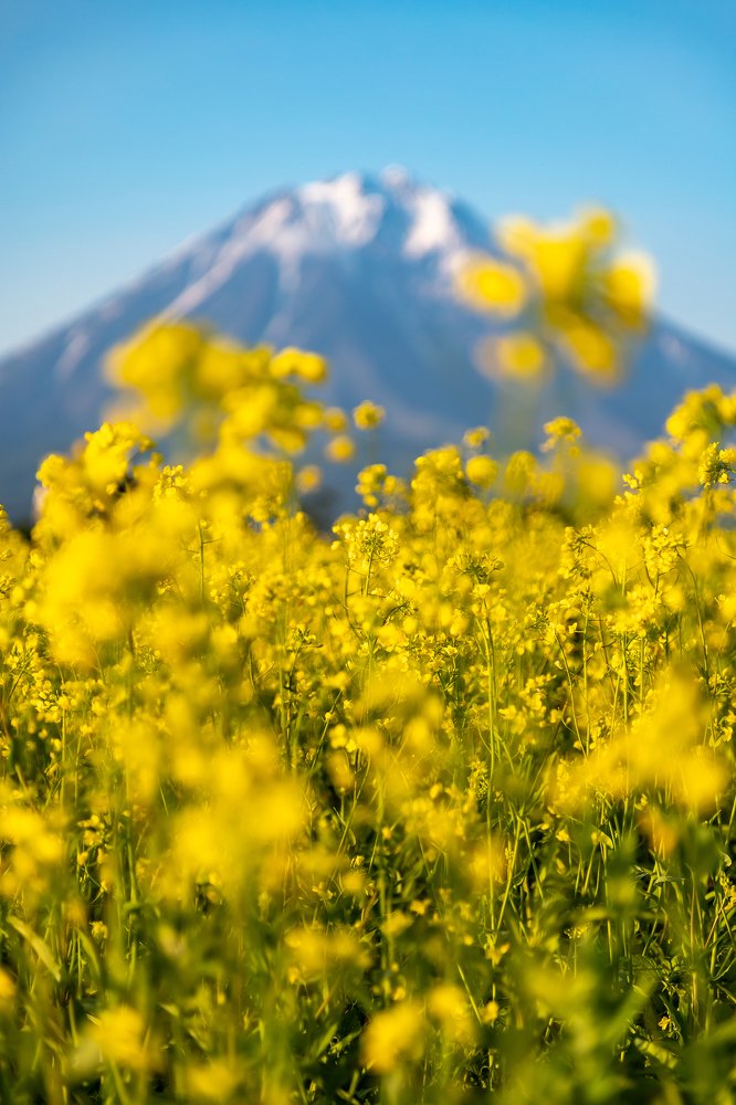 Photograph by Василий Бережной