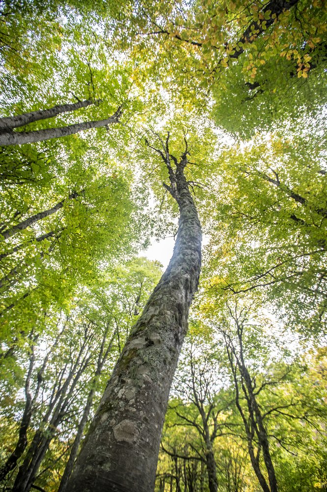 Photograph by Василий Бережной