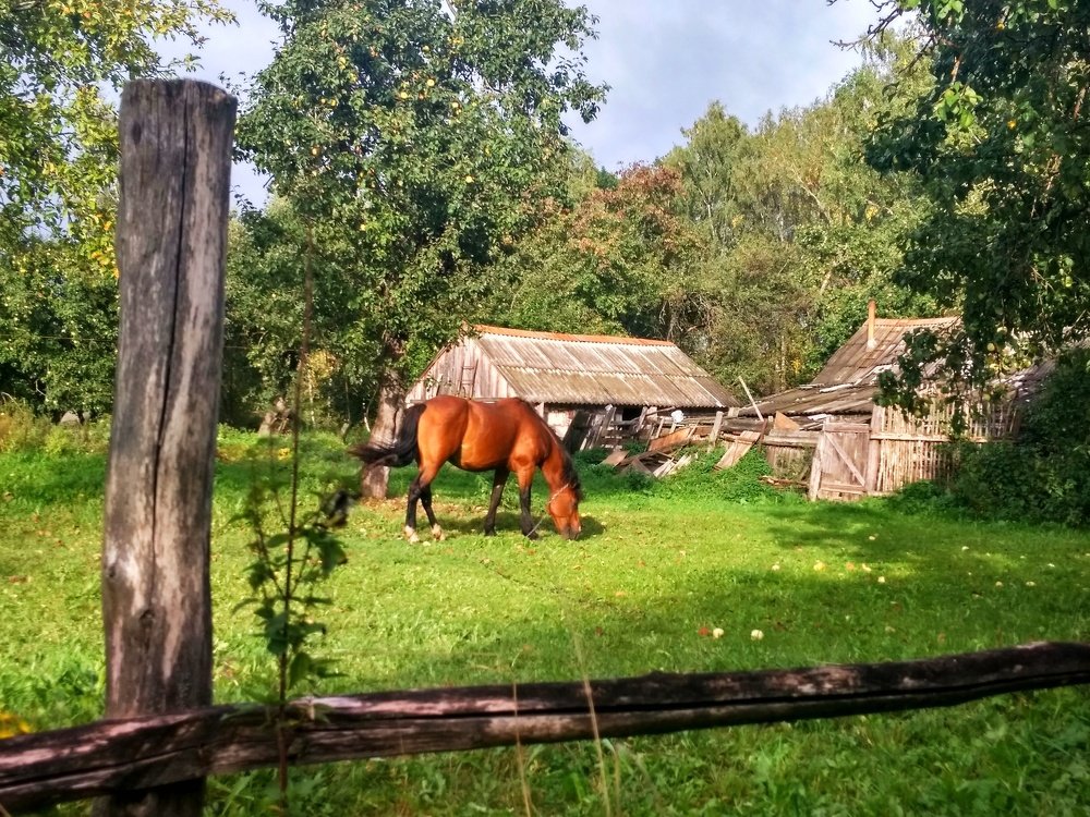 Photograph by Наталья Манусова