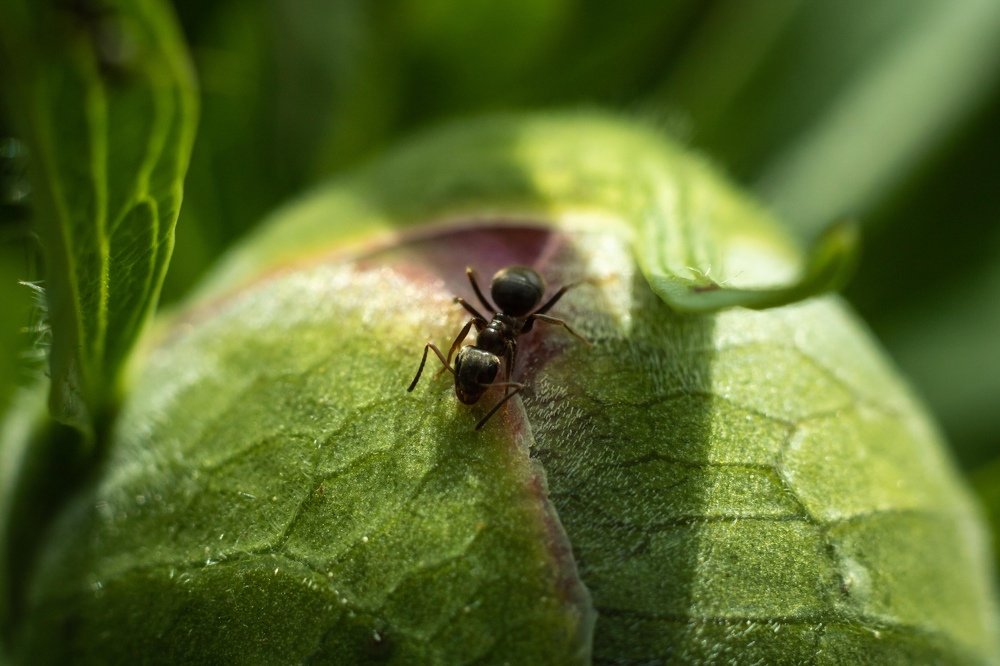 Photograph by Анна Рудакова