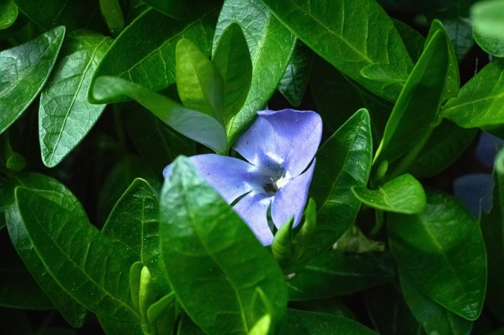 Photograph by Анна Рудакова