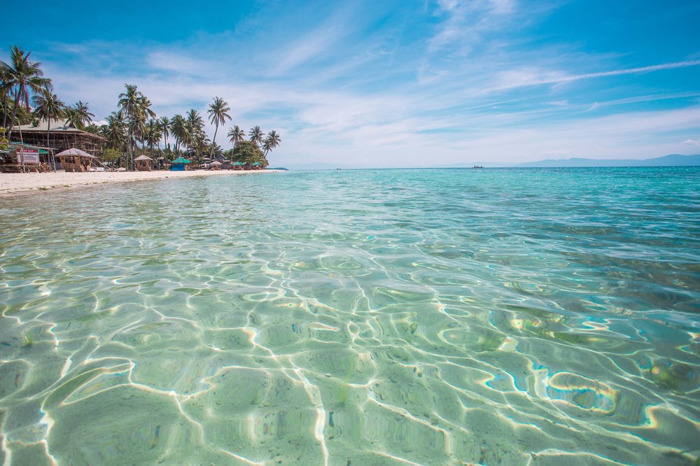 Photograph by Светлана Демина