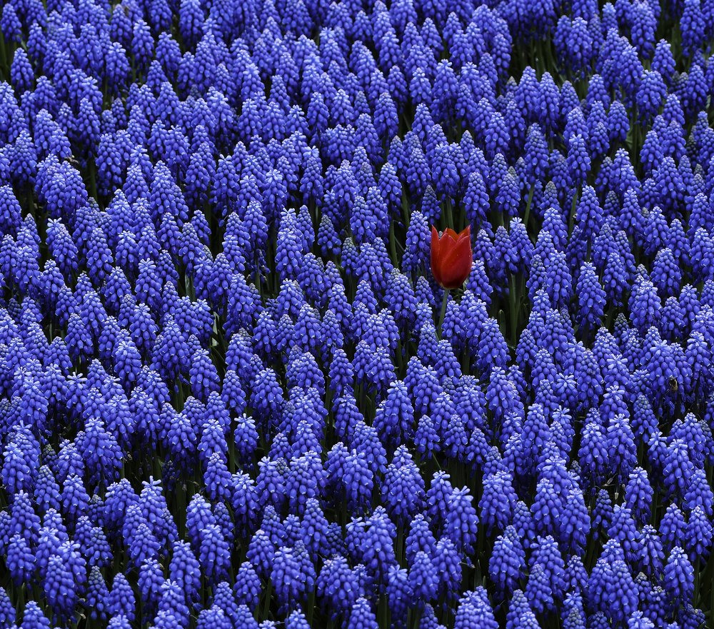 Photograph by Straand2614