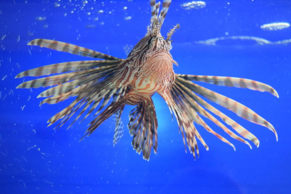 Through time and space