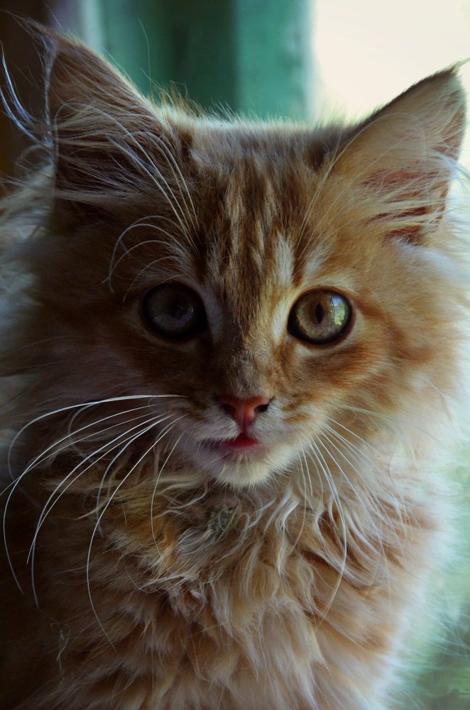 Photograph by Ира Балакова