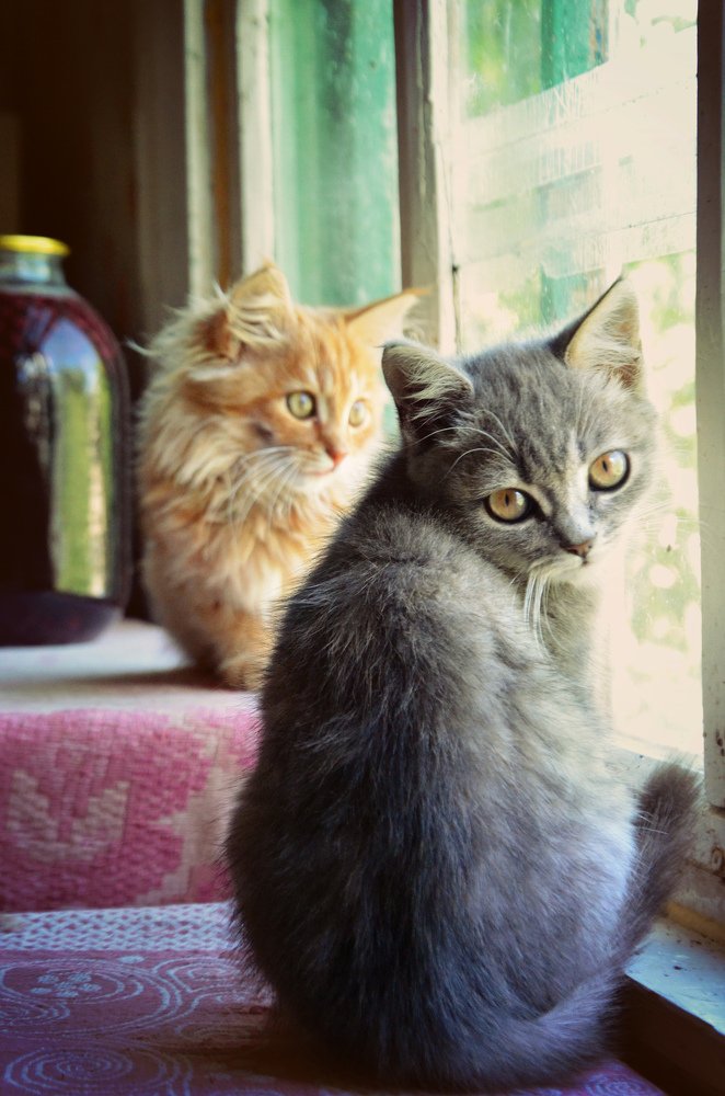 Photograph by Ира Балакова