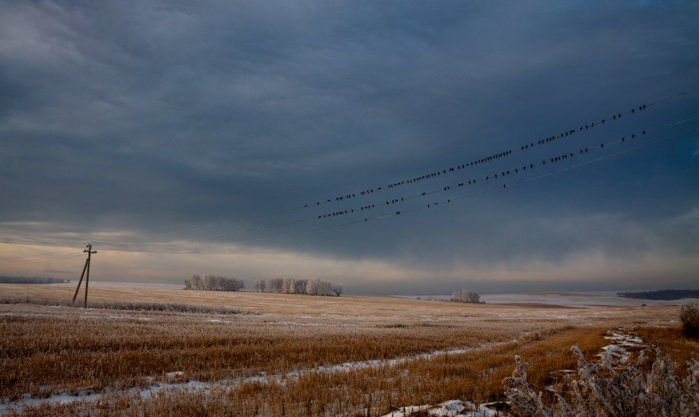 Photograph by Николай В.М.