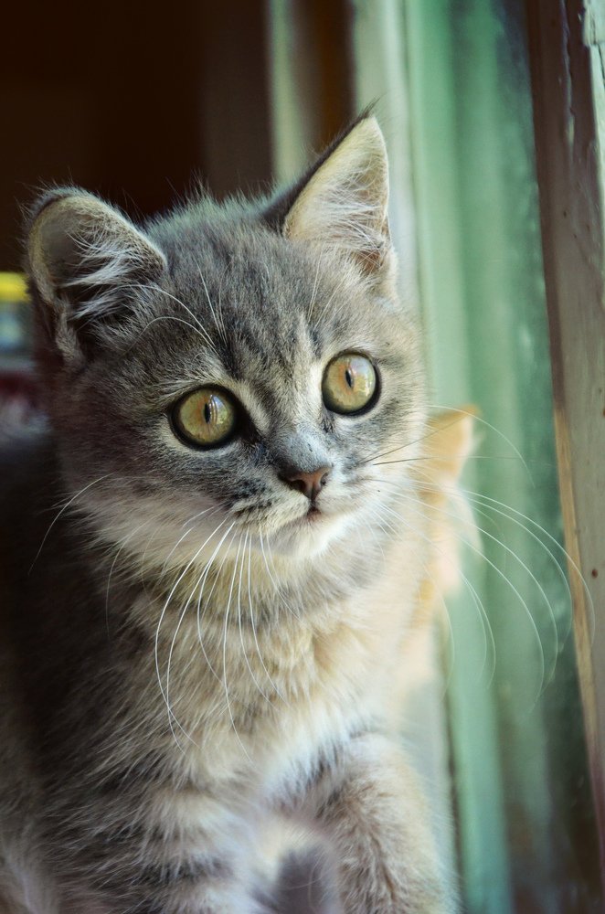 Photograph by Ира Балакова