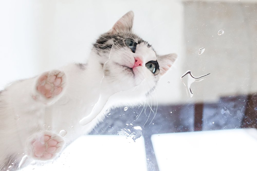 Photograph by Alexandr Zotov