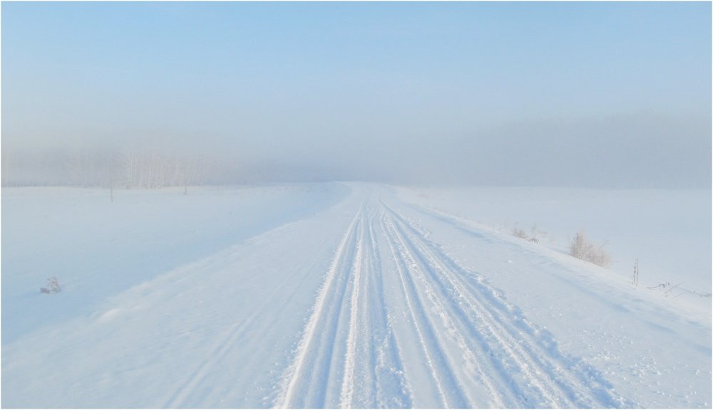 Photograph by ЕЛЕНА