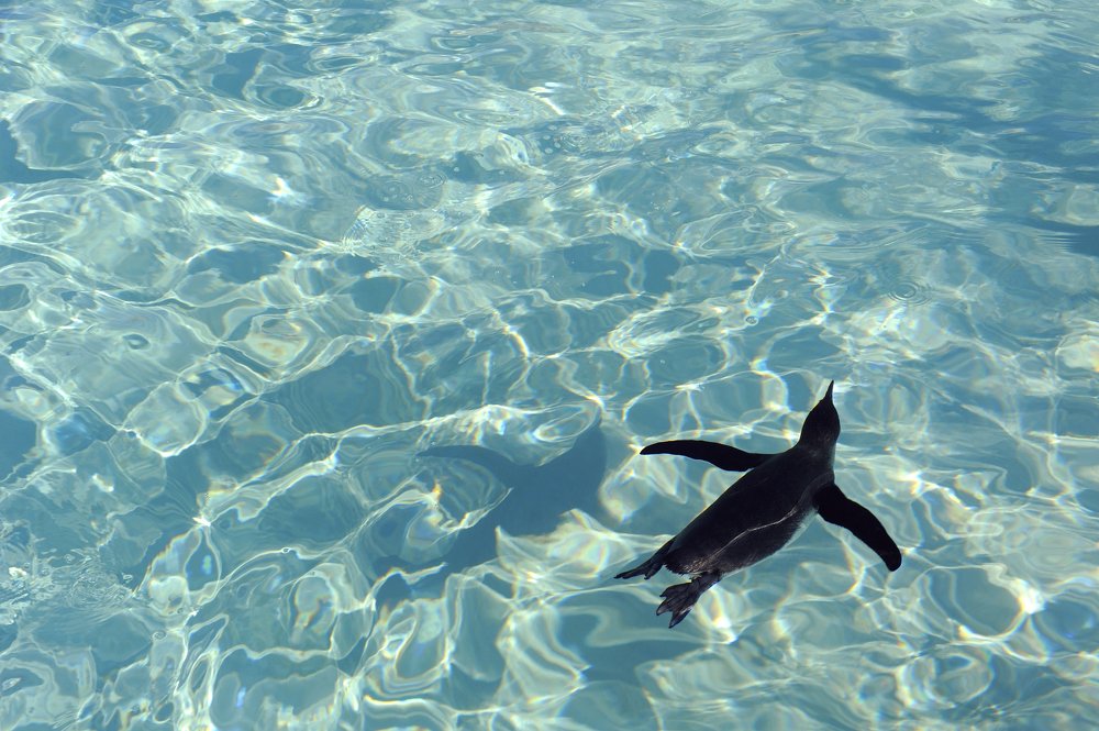 Photograph by Leka Huie