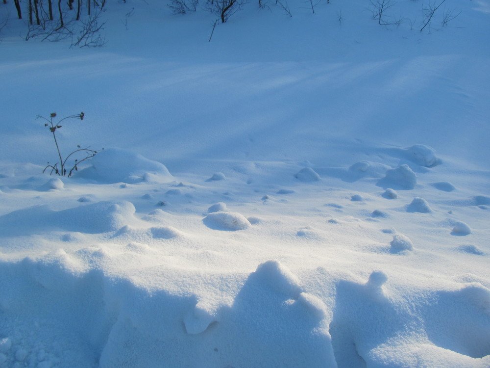 Photograph by ЕЛЕНА