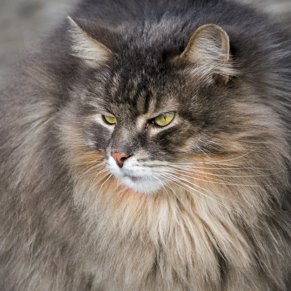 Photograph by Игорь Сарапулов