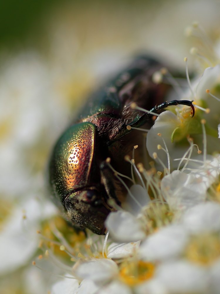 Photograph by Александр Полюдов