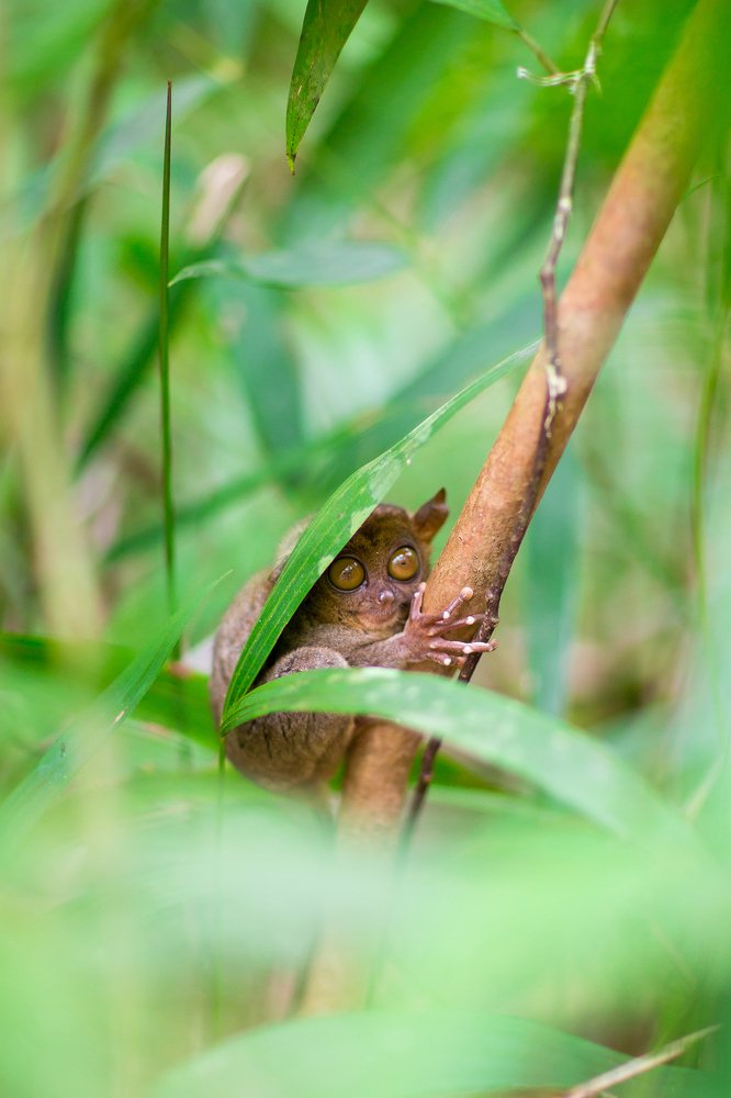 Photograph by Светлана Демина