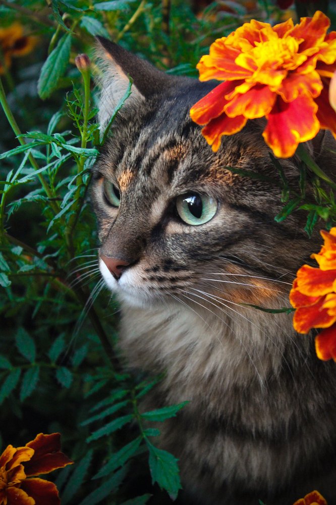 Photograph by Анастасия