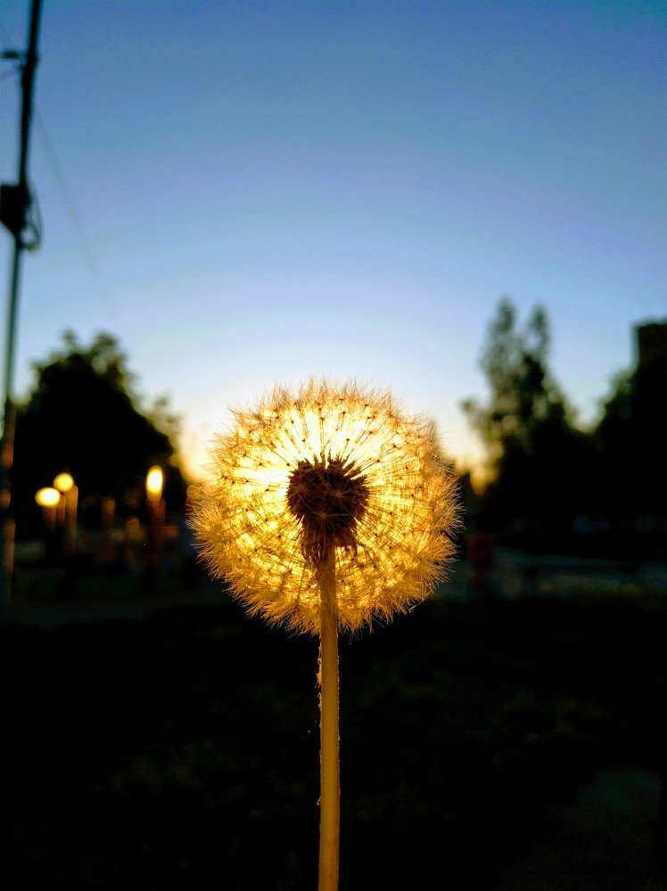 Photograph by Ghettoboo Olya