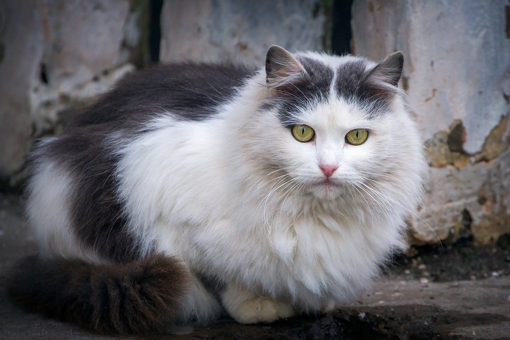 Photograph by Игорь Сарапулов