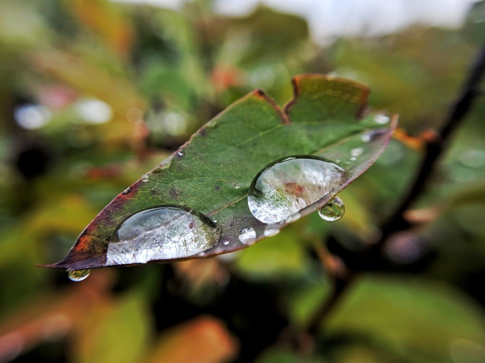 Photograph by Наиль Шакиров