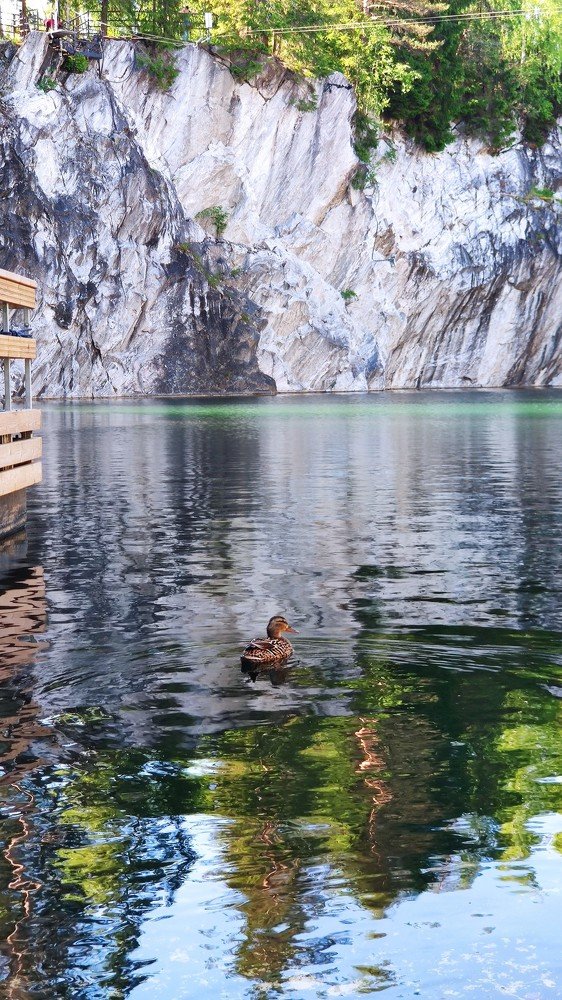 Photograph by Вульф Алиса