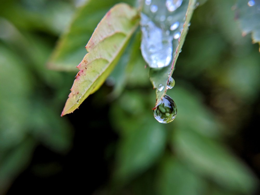 Следы дождя