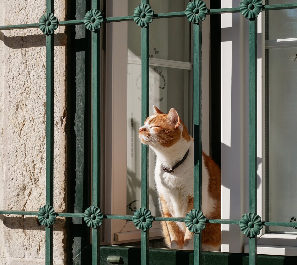 Photograph by Nastja Asipkina