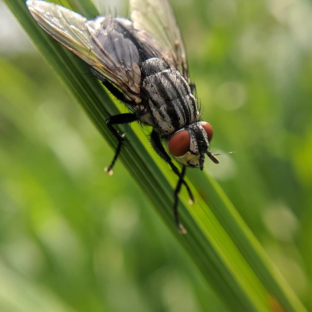 Photograph by Наиль Шакиров