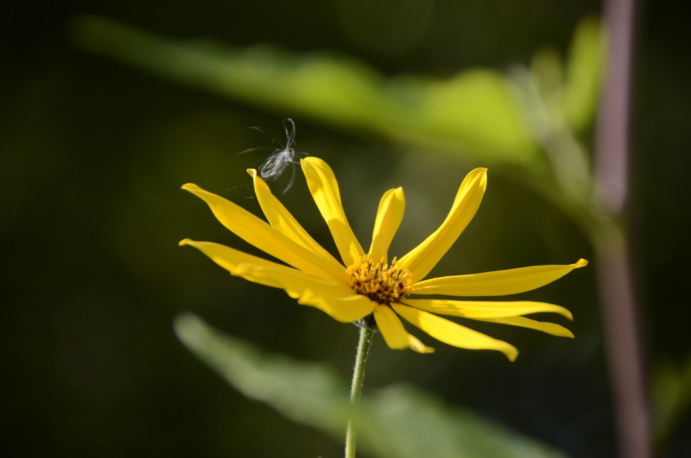 Photograph by Николай Соколовский