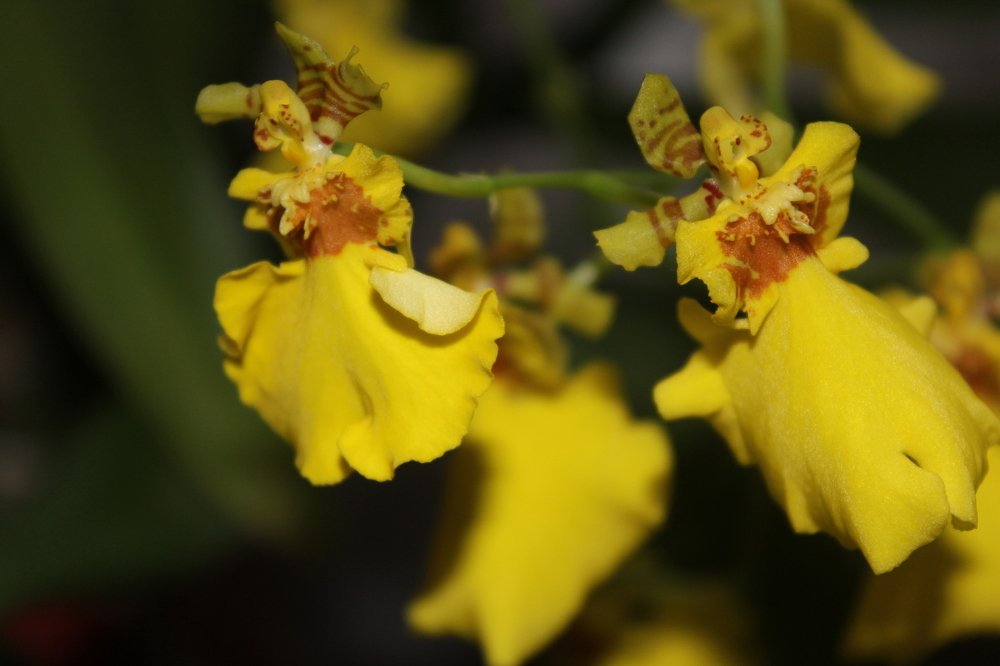 Photograph by Наталина Князева