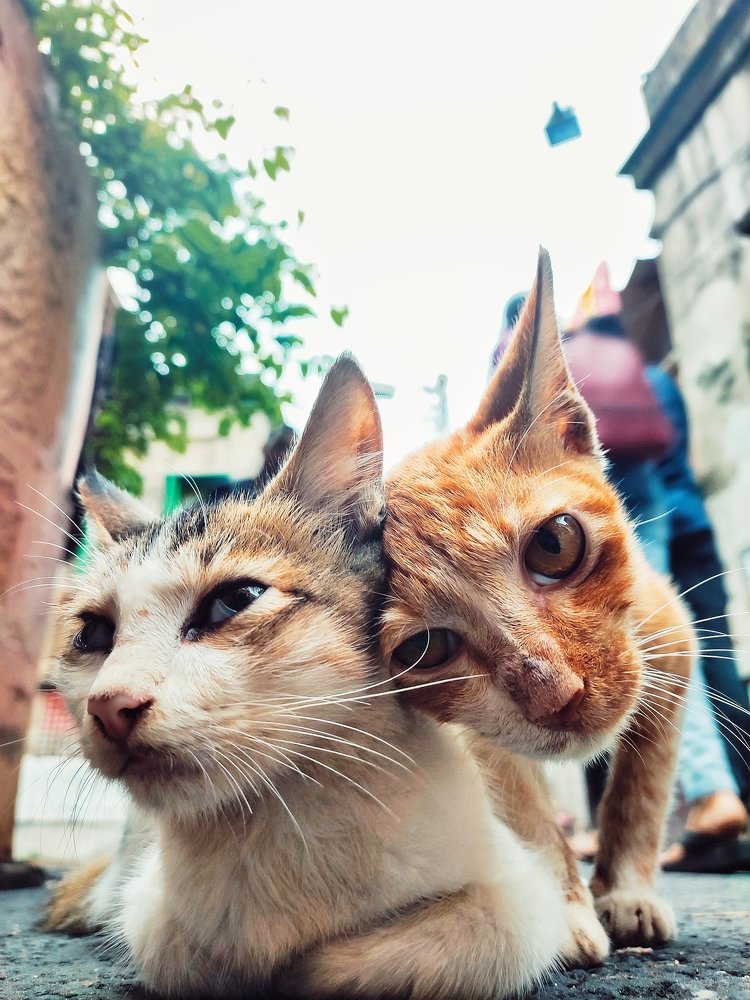 Photograph by Arpan Biswas