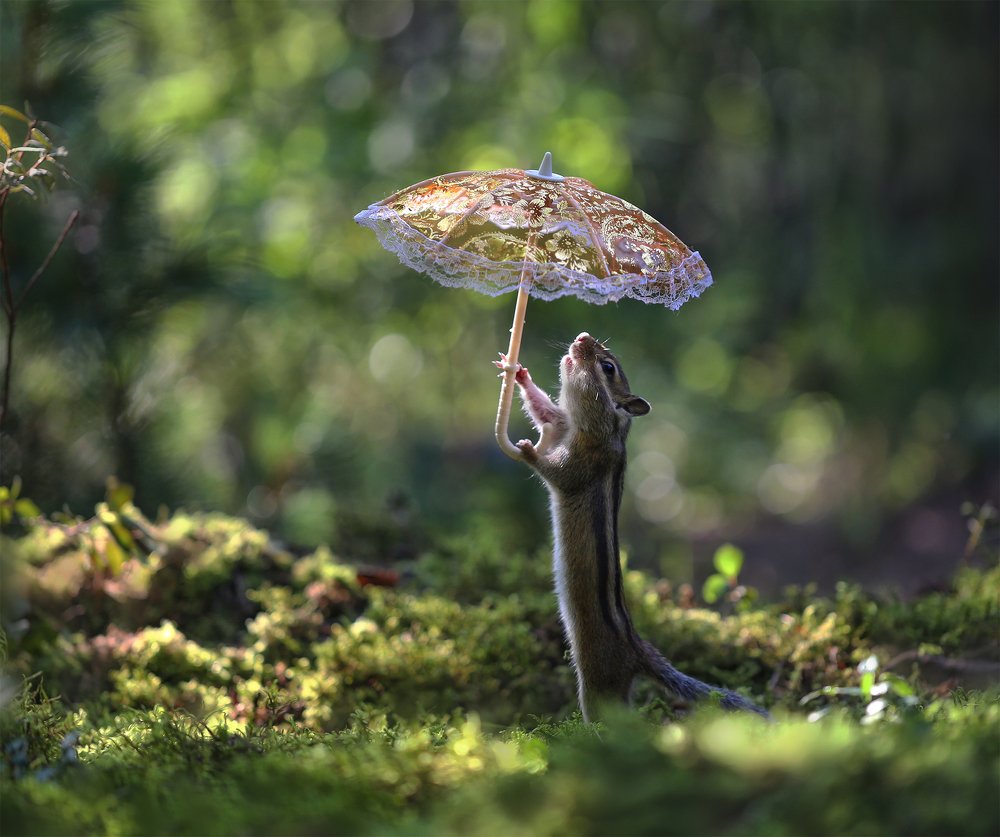 Кажется дождь начинается...