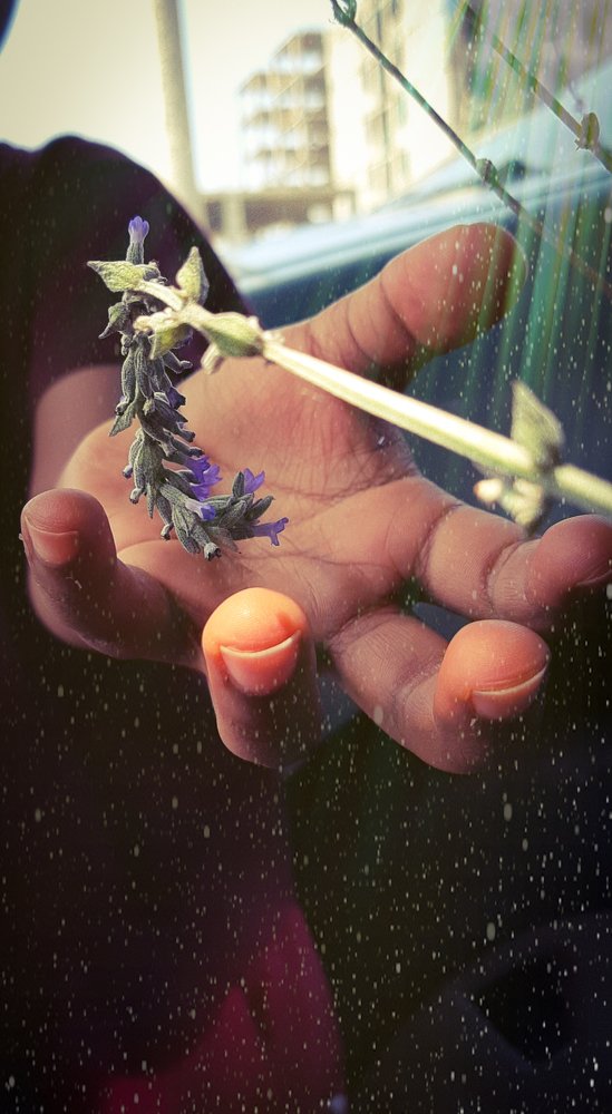 The Nature