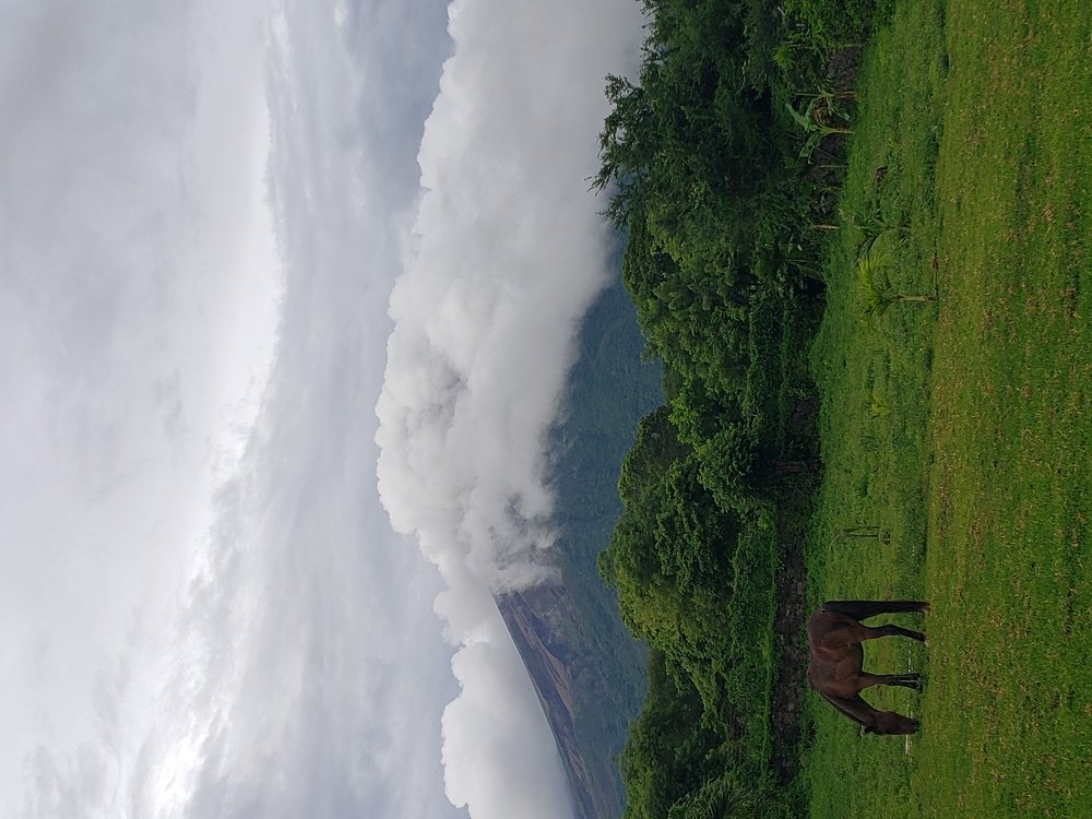 Photo #3574635