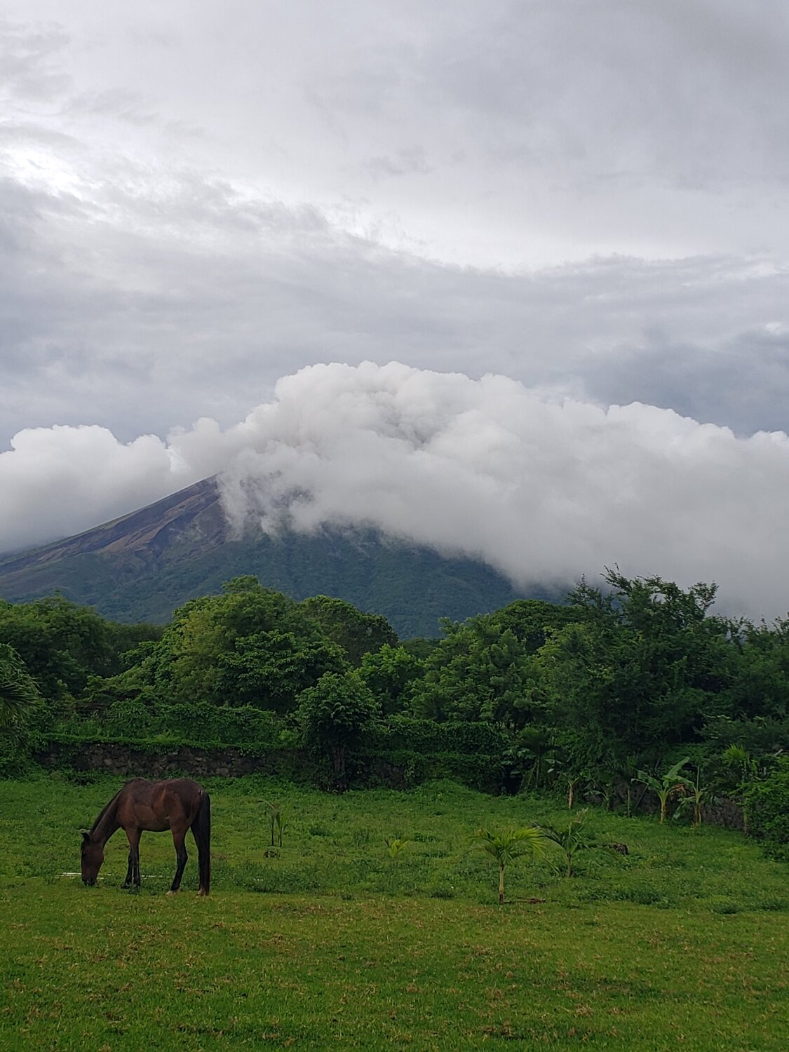 Photo #3574635