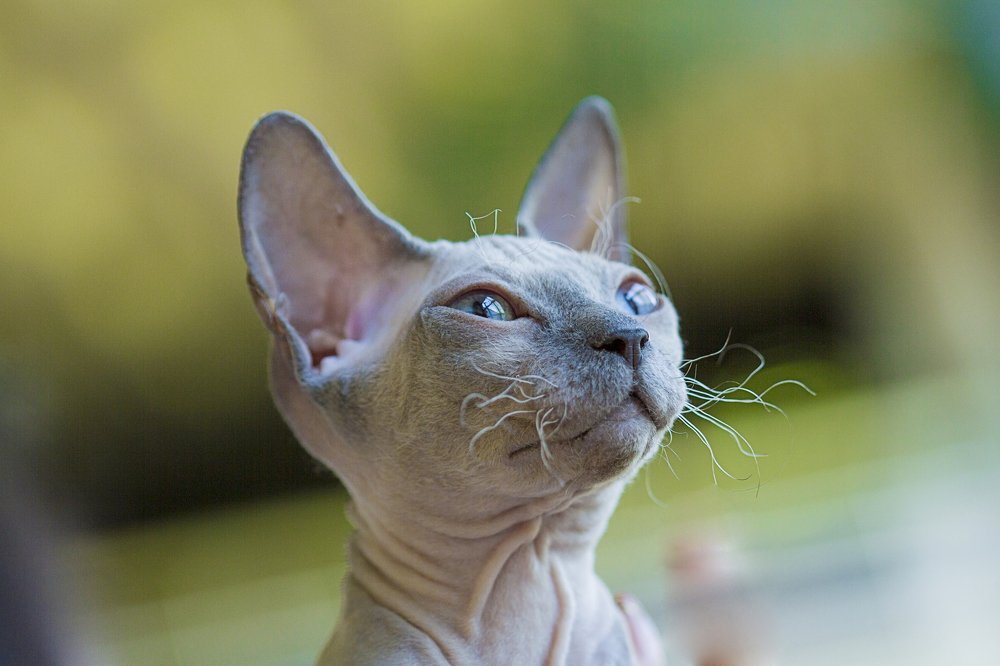 Photograph by Анна Малютина