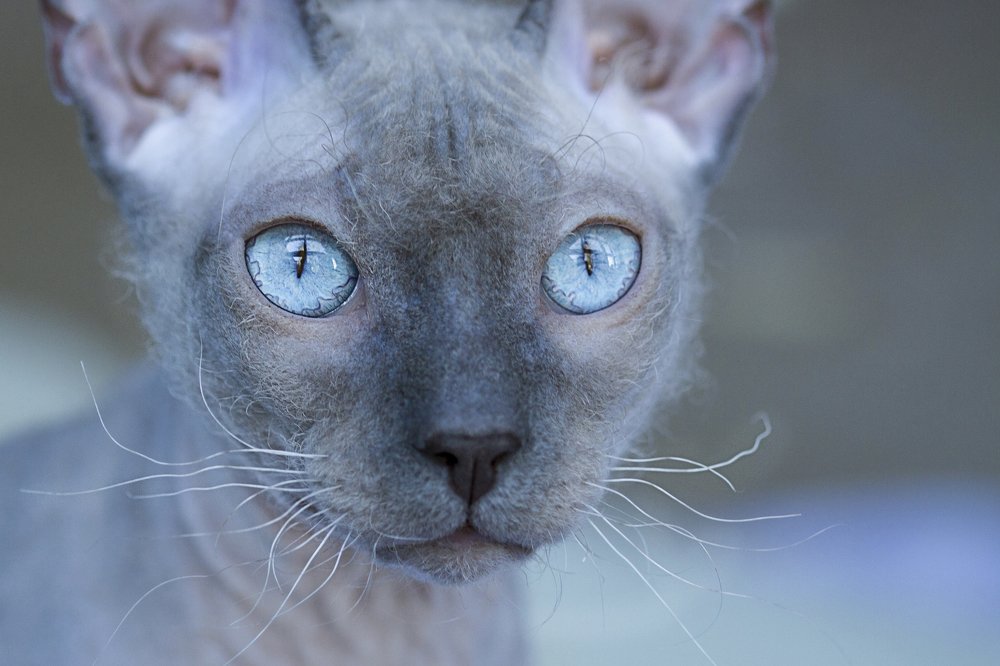 Photograph by Анна Малютина