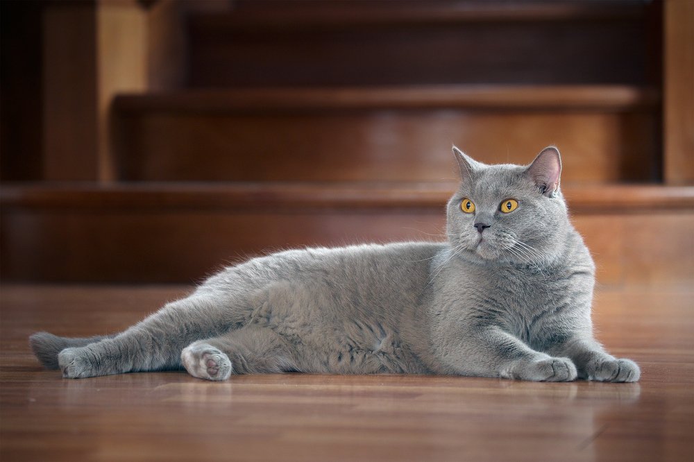 Во всей красе...