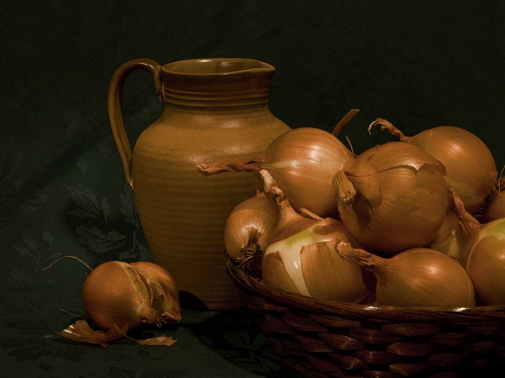 Onions . Still Life