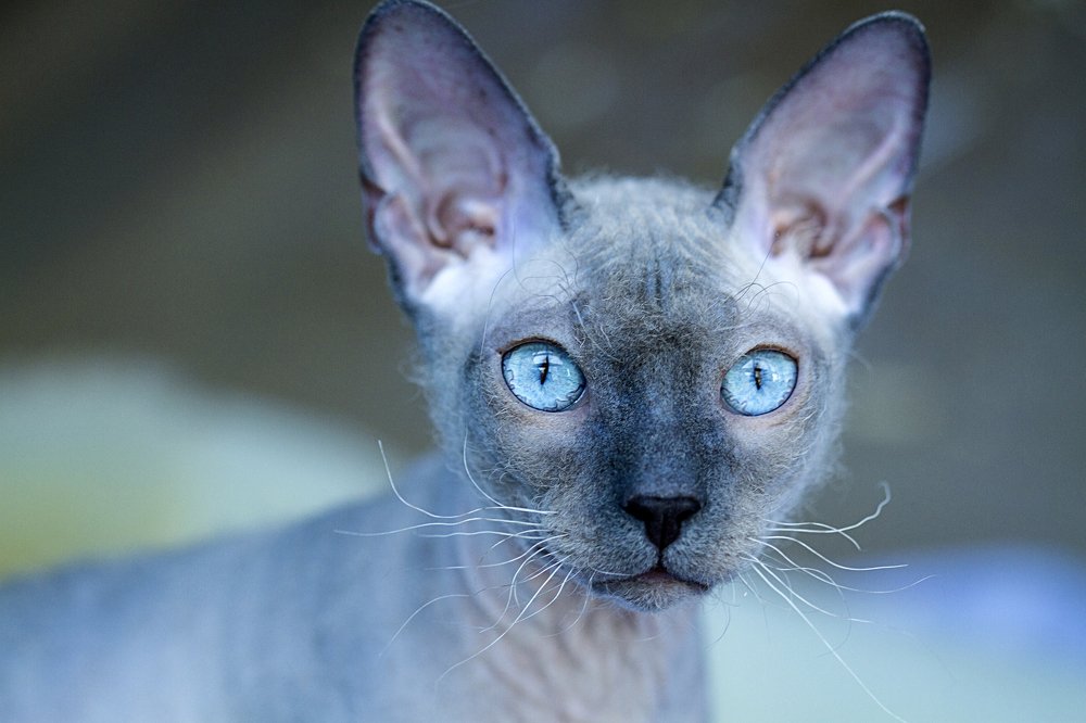 Photograph by Анна Малютина