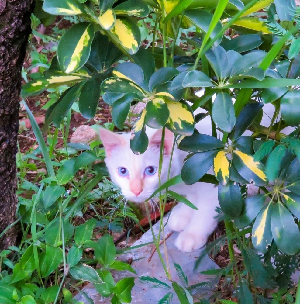 Photograph by Lia Pereira