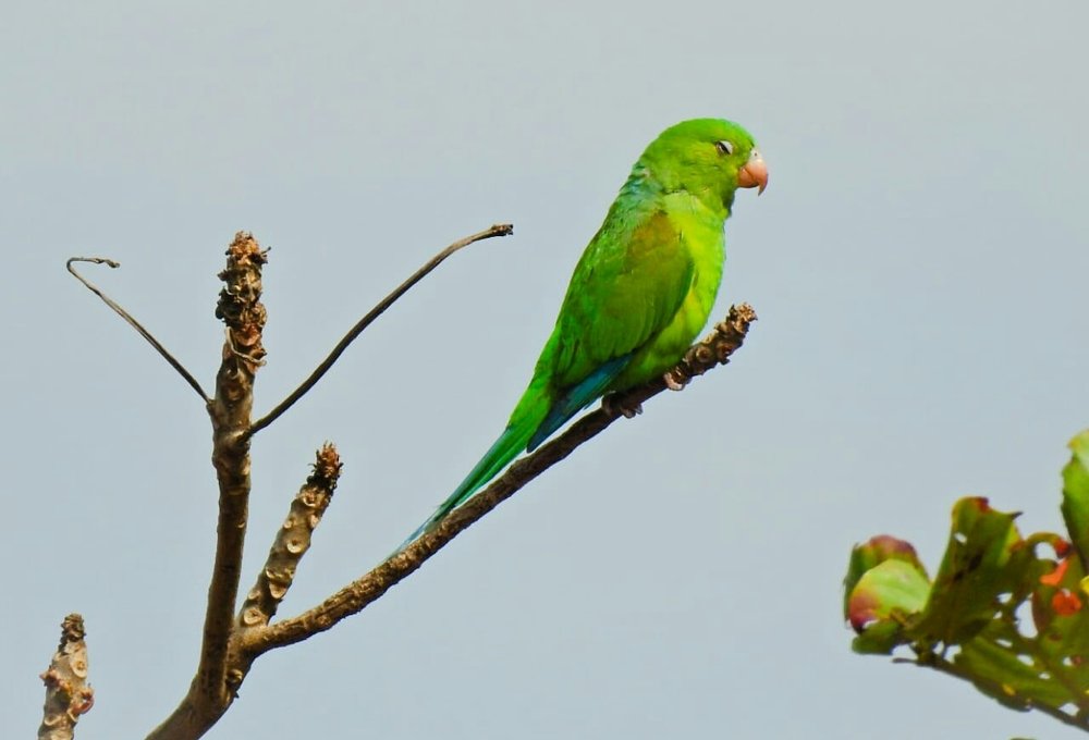 Photograph by Lia Pereira