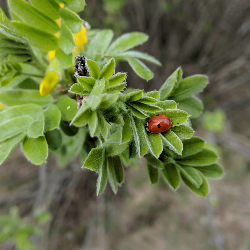 Photograph by Наиль Шакиров