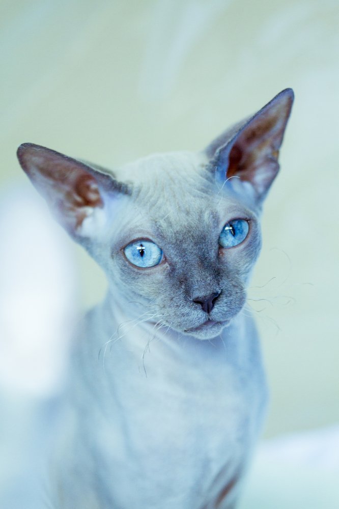 Photograph by Анна Малютина