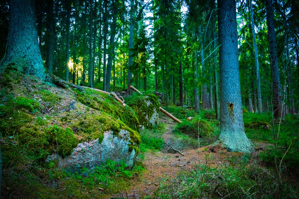 Photograph by Татьяна Смолкина