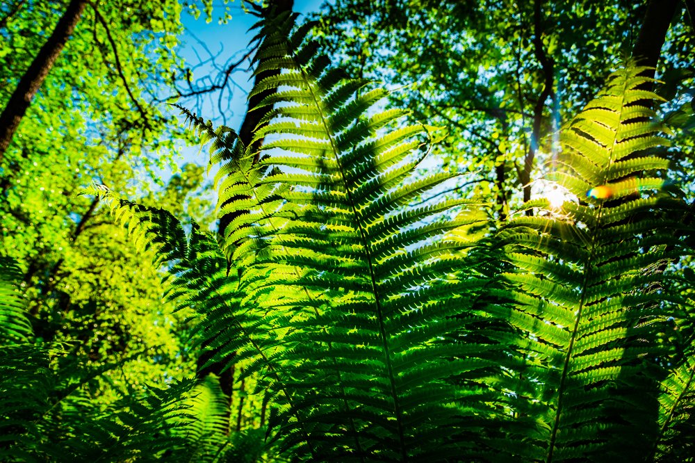 Photograph by Татьяна Смолкина