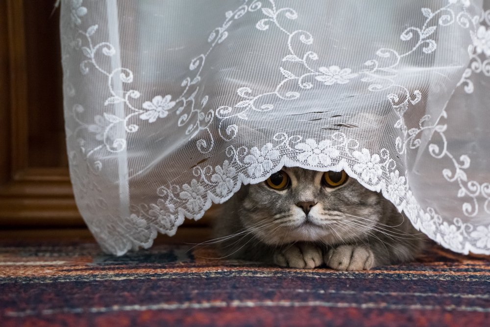 Фотография автора Андрей Ткаченко