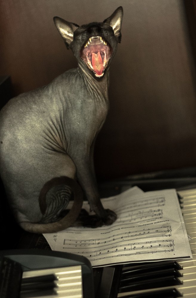 Photograph by Kasia Dróżdż